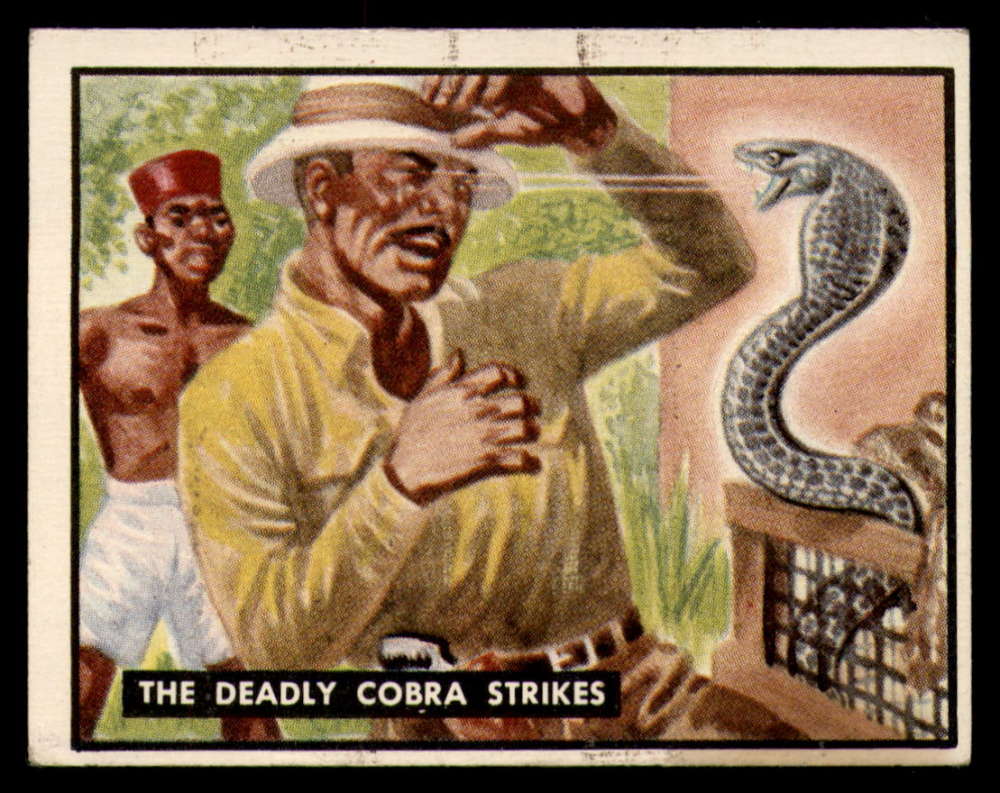 59 The Deadly Cobra Strikes